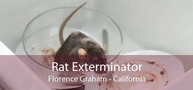 Rat Exterminator Florence Graham - California
