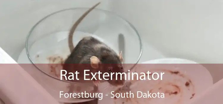 Rat Exterminator Forestburg - South Dakota