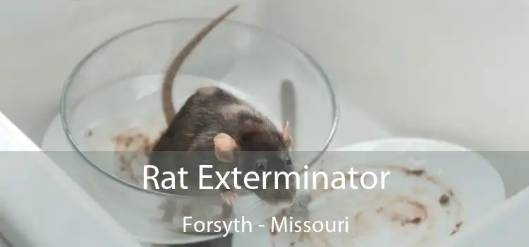 Rat Exterminator Forsyth - Missouri