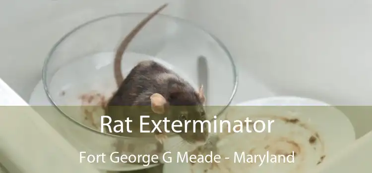 Rat Exterminator Fort George G Meade - Maryland