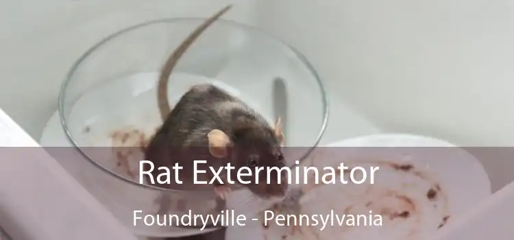 Rat Exterminator Foundryville - Pennsylvania