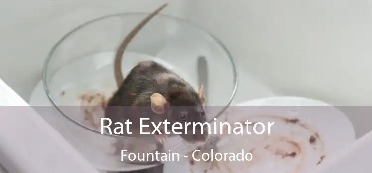 Rat Exterminator Fountain - Colorado