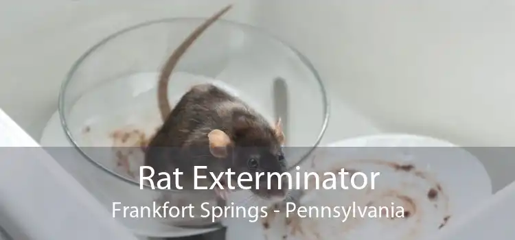 Rat Exterminator Frankfort Springs - Pennsylvania