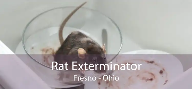 Rat Exterminator Fresno - Ohio