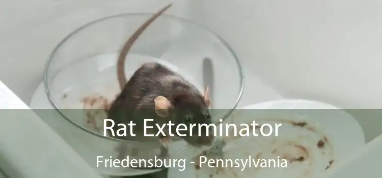 Rat Exterminator Friedensburg - Pennsylvania