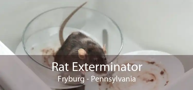 Rat Exterminator Fryburg - Pennsylvania