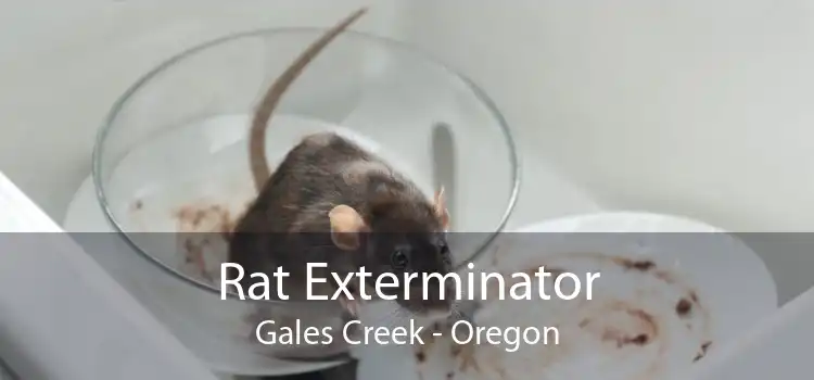 Rat Exterminator Gales Creek - Oregon