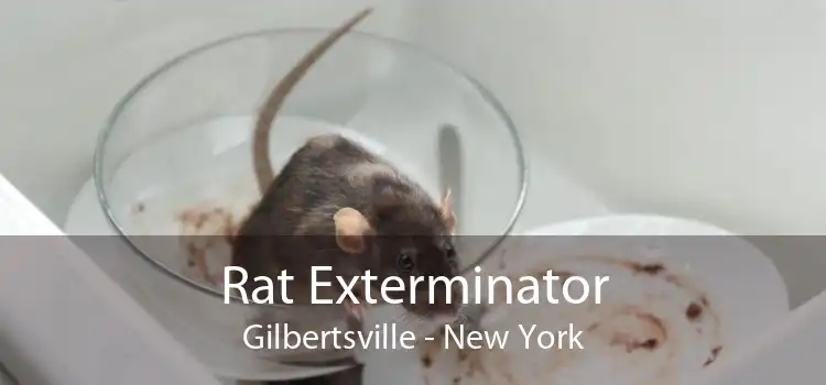 Rat Exterminator Gilbertsville - New York
