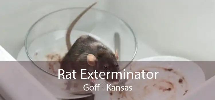 Rat Exterminator Goff - Kansas