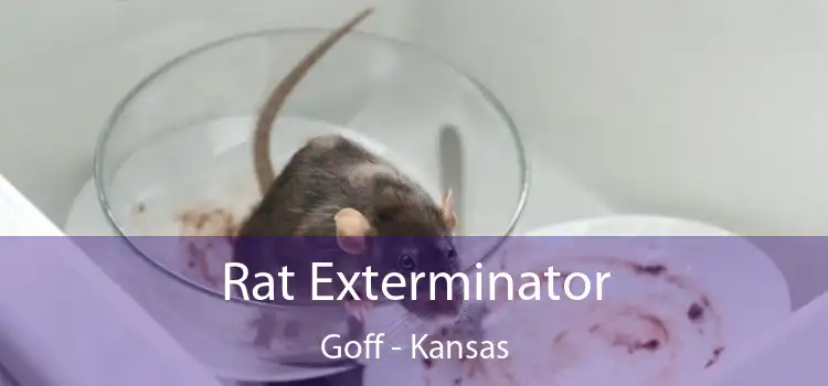 Rat Exterminator Goff - Kansas