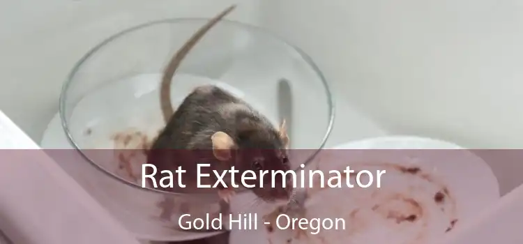 Rat Exterminator Gold Hill - Oregon