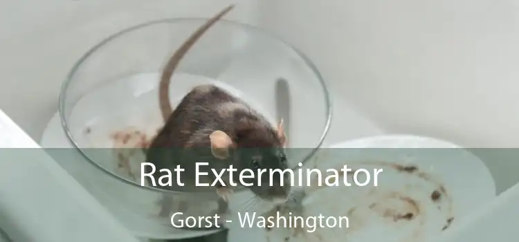 Rat Exterminator Gorst - Washington