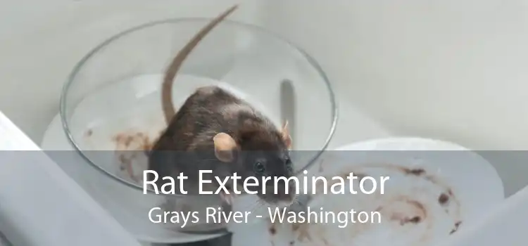 Rat Exterminator Grays River - Washington