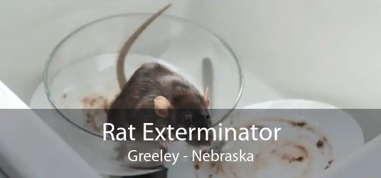 Rat Exterminator Greeley - Nebraska