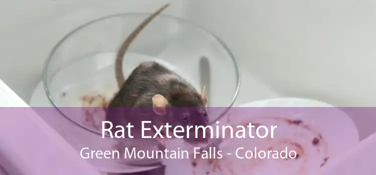 Rat Exterminator Green Mountain Falls - Colorado