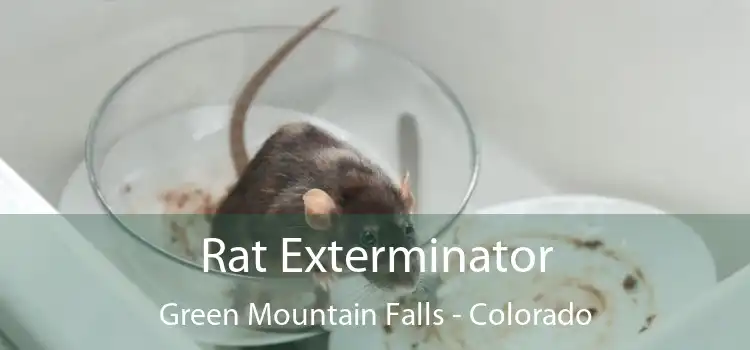 Rat Exterminator Green Mountain Falls - Colorado