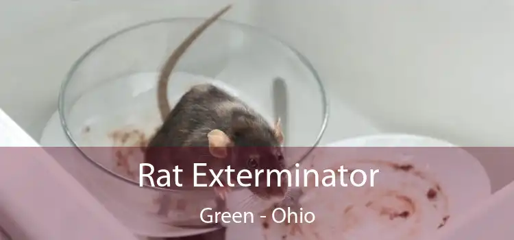 Rat Exterminator Green - Ohio