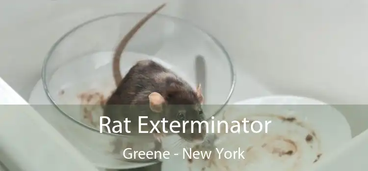 Rat Exterminator Greene - New York