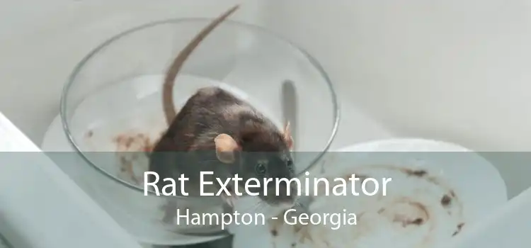 Rat Exterminator Hampton - Georgia