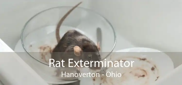 Rat Exterminator Hanoverton - Ohio