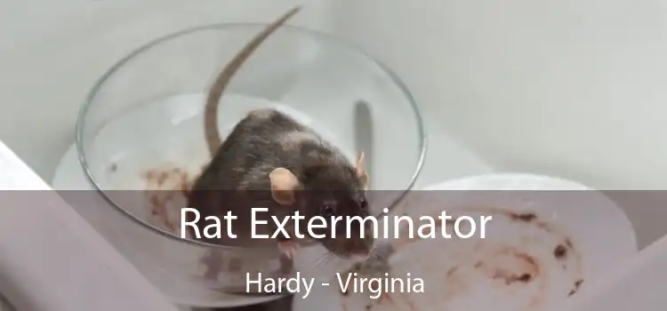 Rat Exterminator Hardy - Virginia