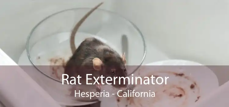 Rat Exterminator Hesperia - California