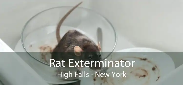 Rat Exterminator High Falls - New York