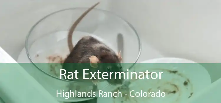 Rat Exterminator Highlands Ranch - Colorado