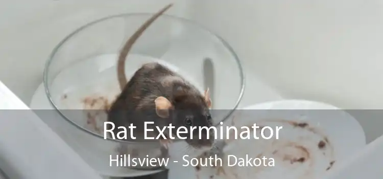 Rat Exterminator Hillsview - South Dakota