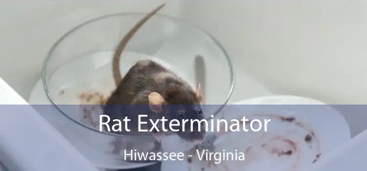 Rat Exterminator Hiwassee - Virginia