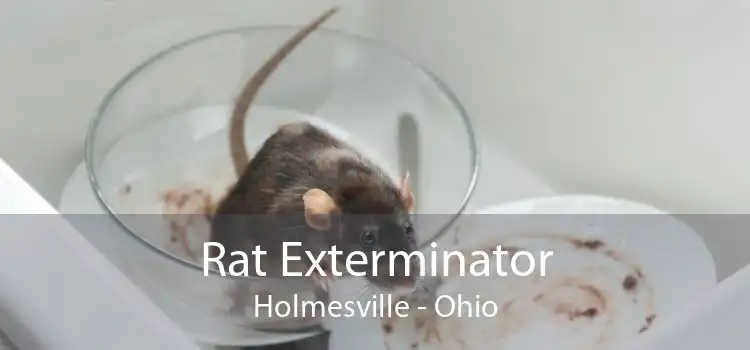 Rat Exterminator Holmesville - Ohio