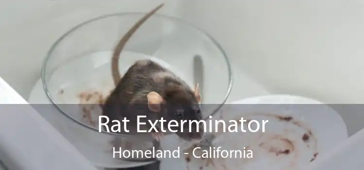 Rat Exterminator Homeland - California