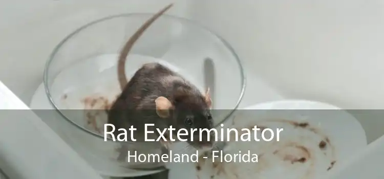 Rat Exterminator Homeland - Florida