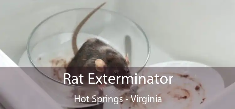 Rat Exterminator Hot Springs - Virginia