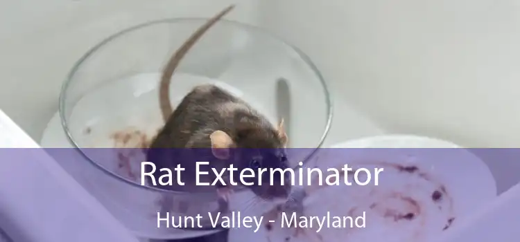 Rat Exterminator Hunt Valley - Maryland