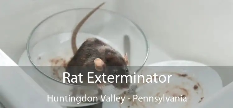 Rat Exterminator Huntingdon Valley - Pennsylvania