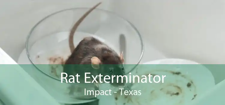 Rat Exterminator Impact - Texas