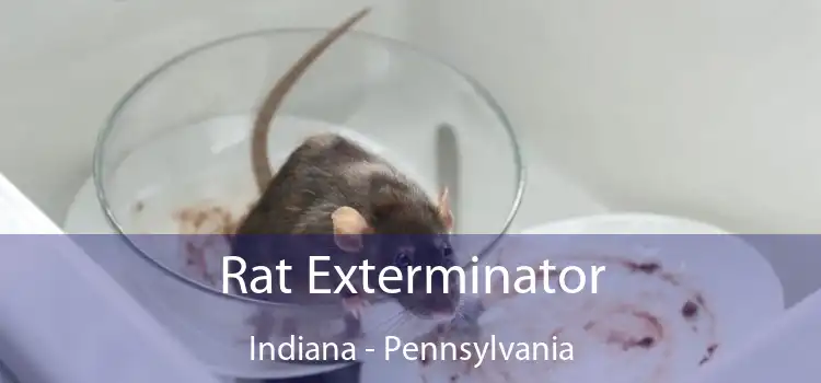 Rat Exterminator Indiana - Pennsylvania