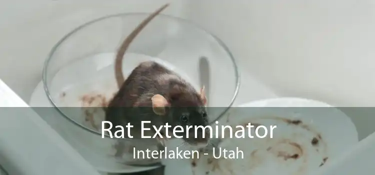 Rat Exterminator Interlaken - Utah