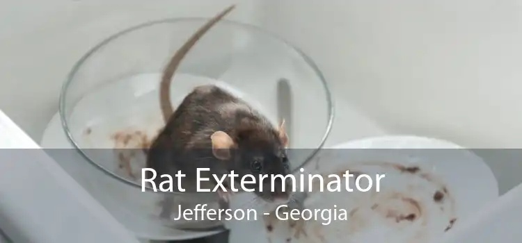 Rat Exterminator Jefferson - Georgia