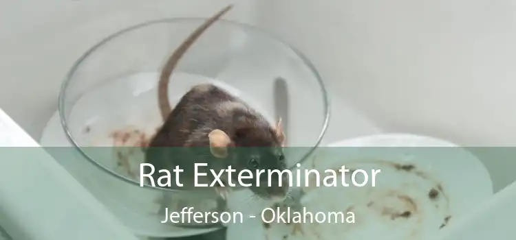 Rat Exterminator Jefferson - Oklahoma