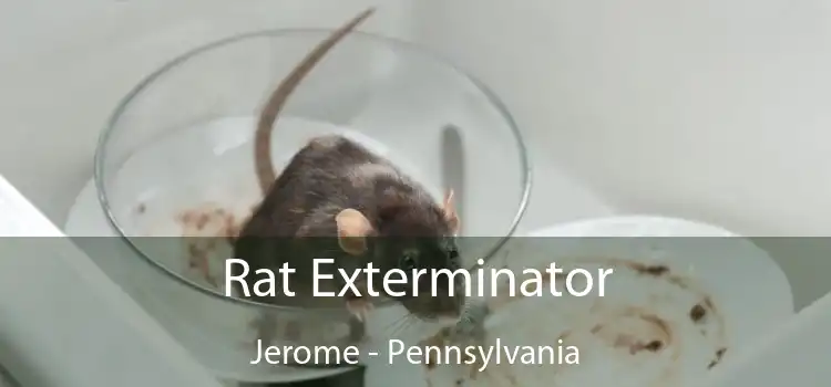 Rat Exterminator Jerome - Pennsylvania