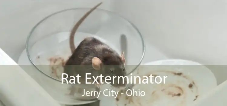 Rat Exterminator Jerry City - Ohio