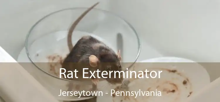 Rat Exterminator Jerseytown - Pennsylvania