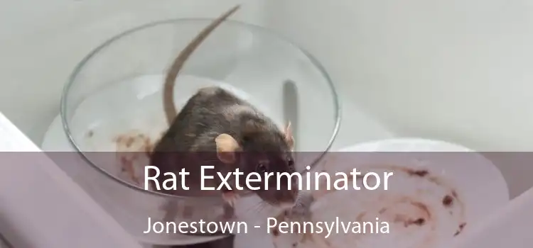 Rat Exterminator Jonestown - Pennsylvania