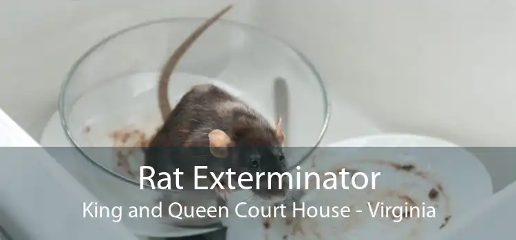 Rat Exterminator King and Queen Court House - Virginia