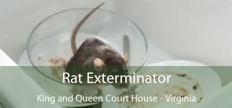 Rat Exterminator King and Queen Court House - Virginia