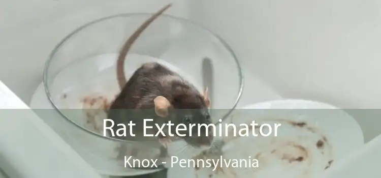 Rat Exterminator Knox - Pennsylvania