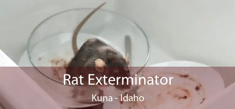 Rat Exterminator Kuna - Idaho