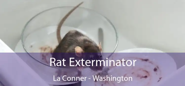 Rat Exterminator La Conner - Washington